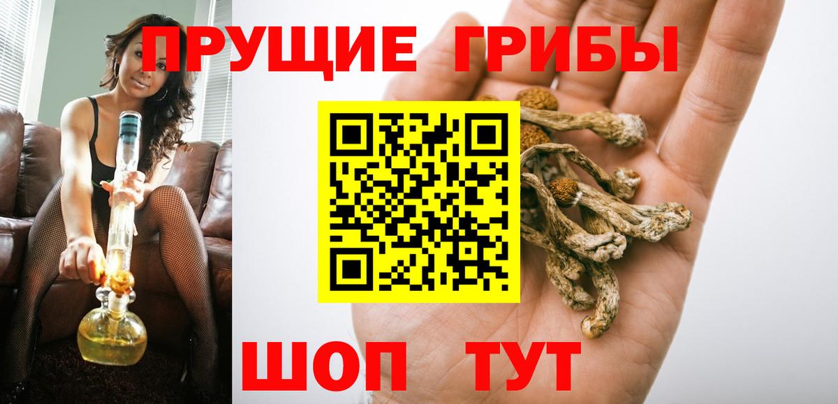 Выкса  Псилоцибиновые грибы Cubensis  Вход с VPN 