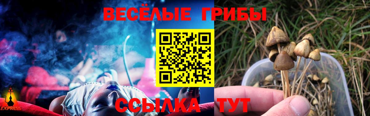 Псилоцибиновые грибы мицелий Выкса